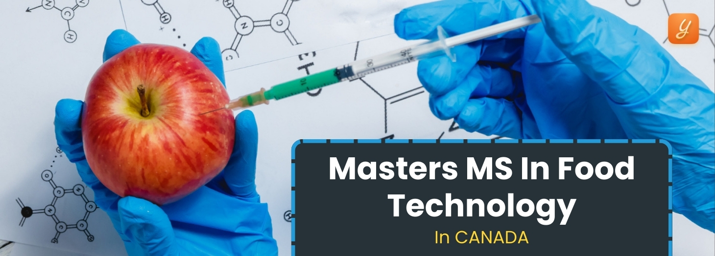 Masters in Food Technology in Canada: Top 5 Universities, Requirements, Fees, Scholarships and Jobs