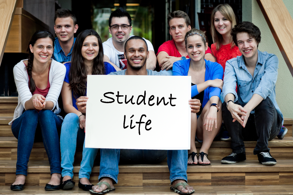Perm State Medical University Student offerings
